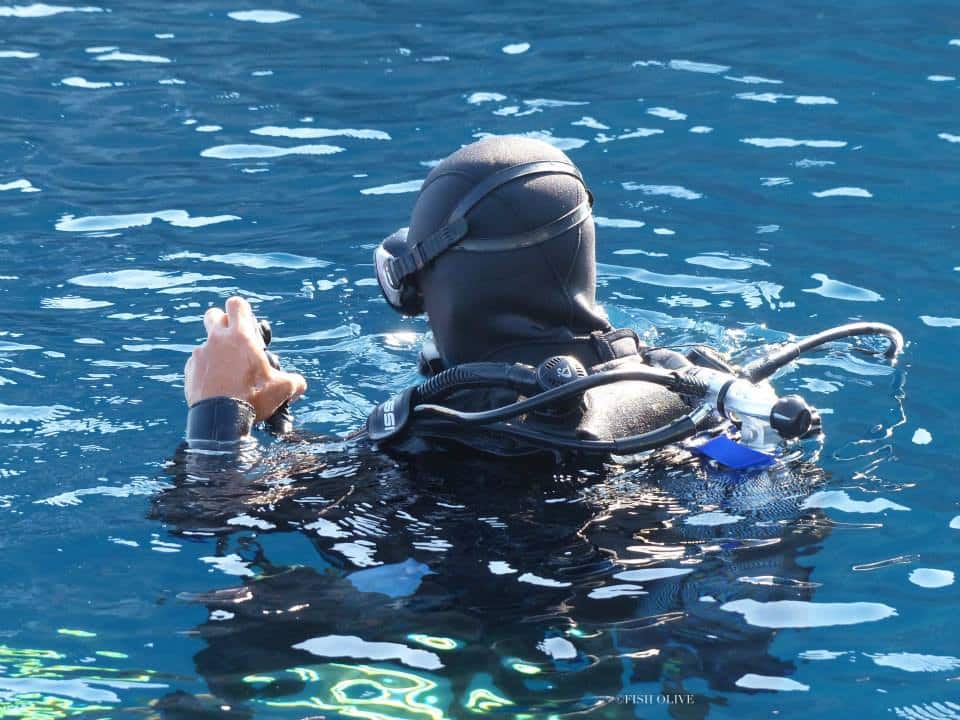 Pitsirikos diving with Atlantis Dive Centre