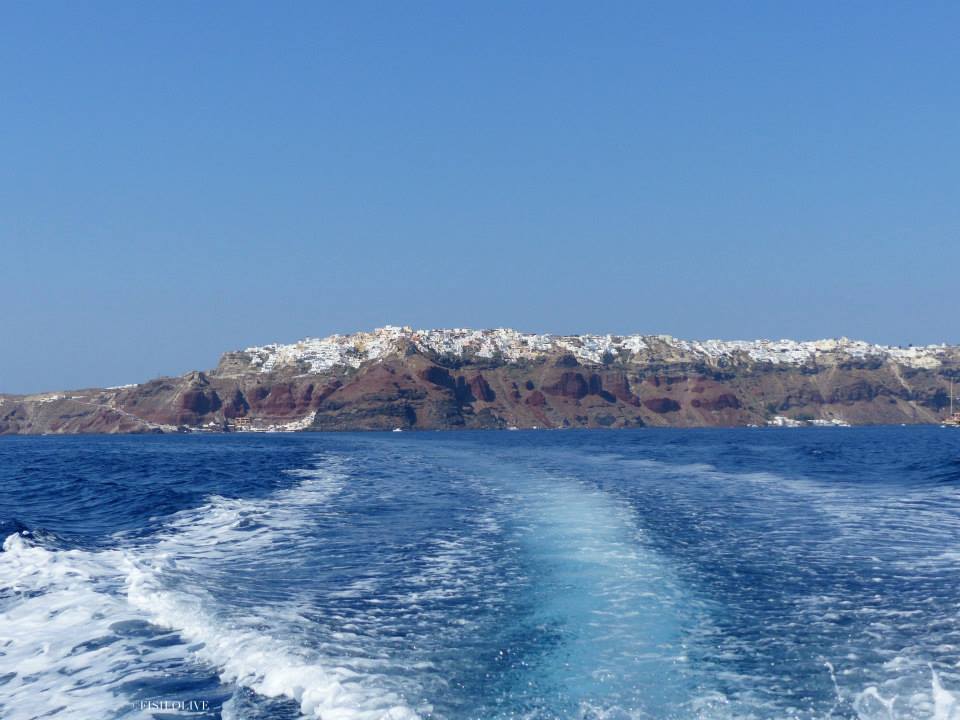 11214322_847435692013769_854476145005684077_n copia