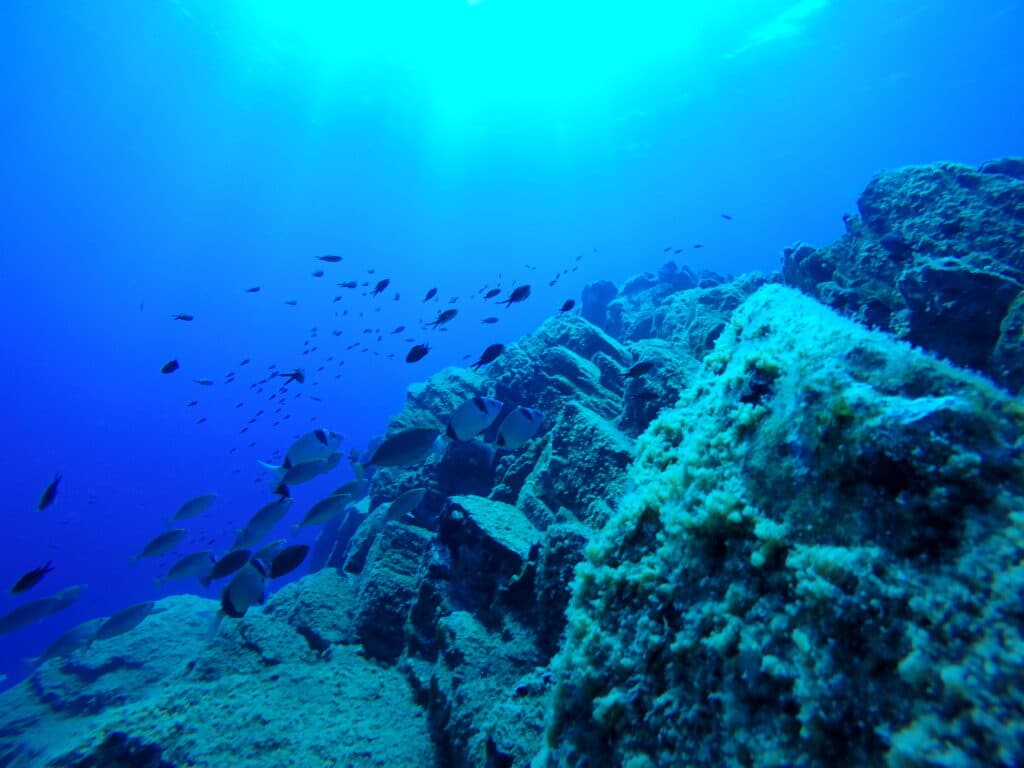 DCIM100GOPROGOPR0835.